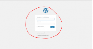 wordpress login